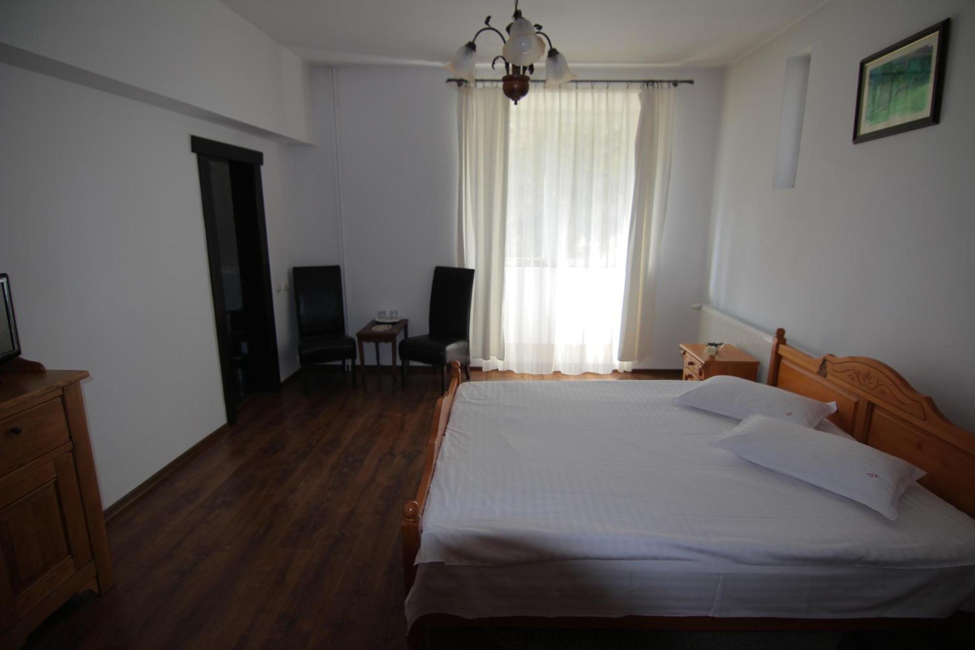 Vila Carpathia Bran  Bilik gambar