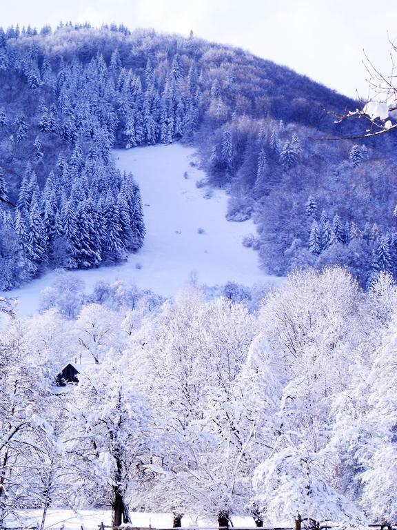 Vila Carpathia Bran  Luaran gambar