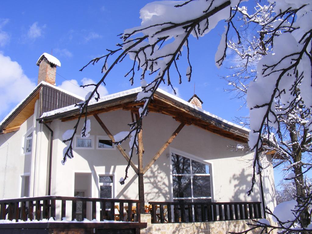 Vila Carpathia Bran  Luaran gambar
